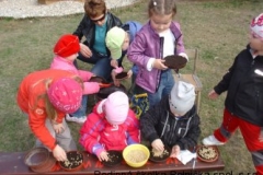 dsc00139-nggid0214-ngg0dyn-0x250-00f0w011c010r110f110r010t010