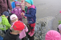 IMG_7416