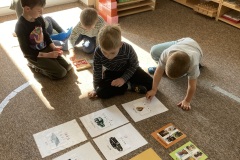 IMG_4658-kopie-kopie