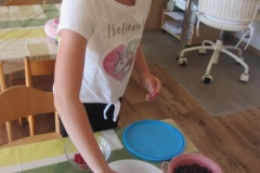 rybizove_pochutnani_001