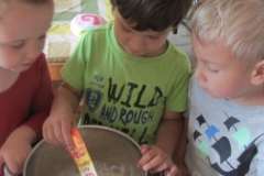 rybizove_pochutnani_002