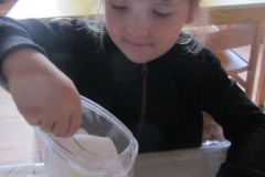 rybizove_pochutnani_003