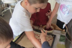 rybizove_pochutnani_006