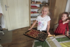 rybizove_pochutnani_007