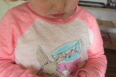 rybizove_pochutnani_009