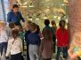 Slezské muzeum a zvířátka v zimě