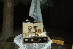 1_IMG_20191105_171205