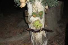 svetylkovy_vecer_011