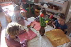 tuli-pan-a-tuli-pani-07