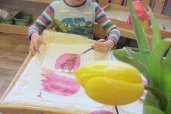 tuli-pan-a-tuli-pani-15