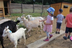 u-kamarada-lukaska03