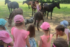 u-kamarada-lukaska05