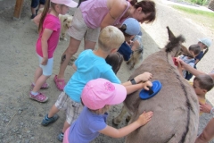 u-kamarada-lukaska06