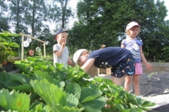 u-kamarada-lukaska13