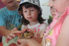 u-kamarada-lukaska14