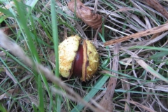 vylet_k_moravici_008